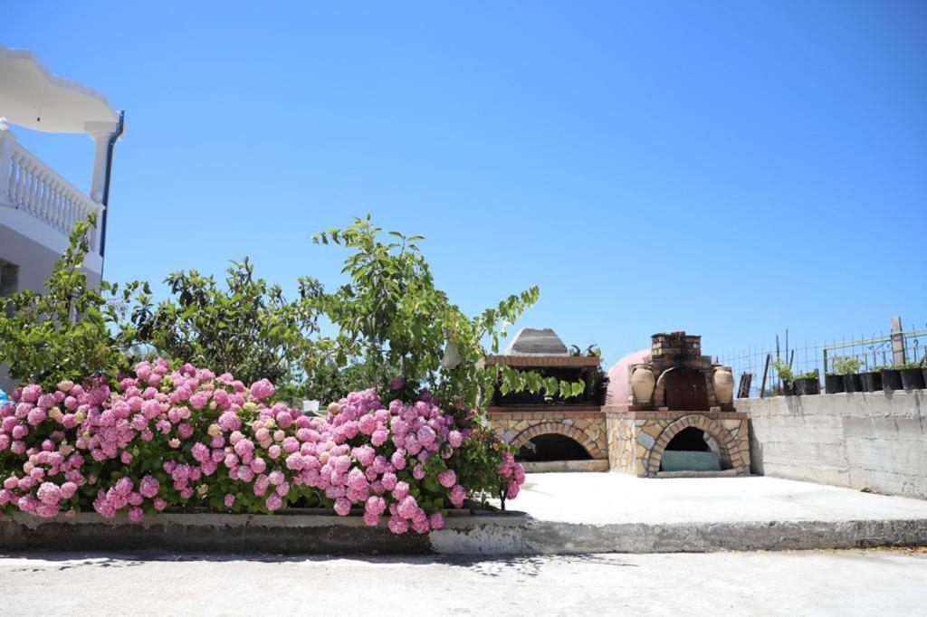 Guest House Narta Vlorë Eksteriør billede