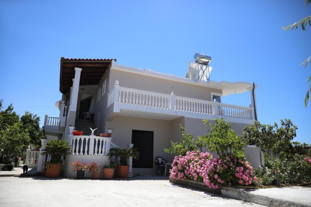 Guest House Narta Vlorë Eksteriør billede
