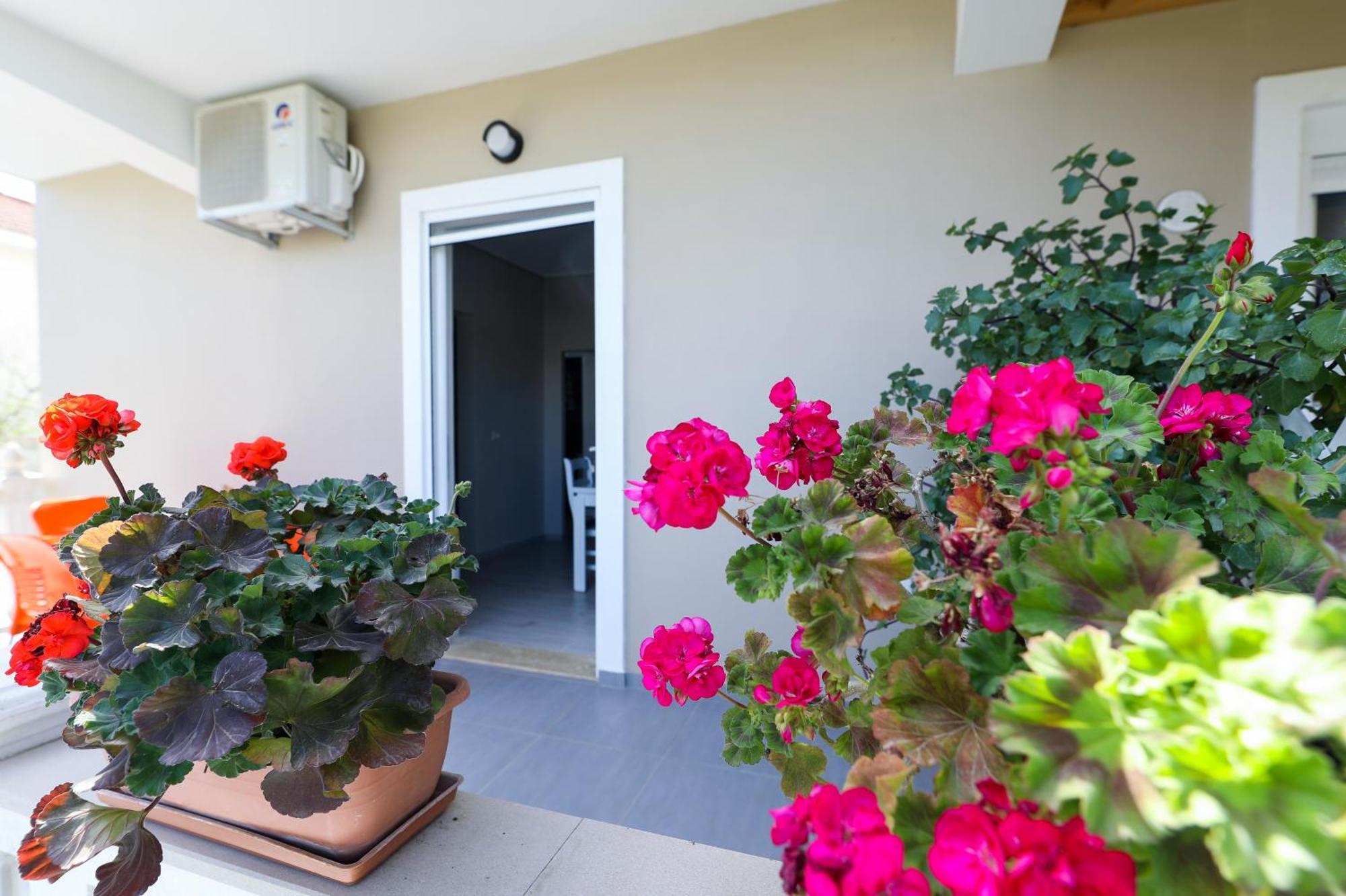 Guest House Narta Vlorë Eksteriør billede